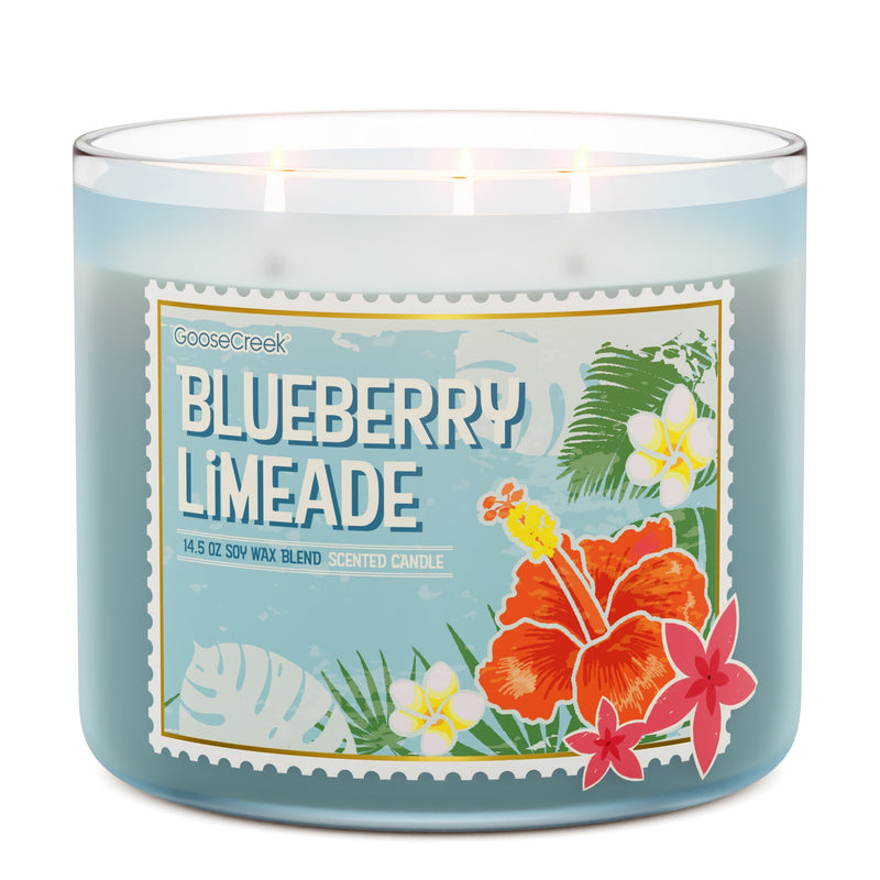 Blueberry Limeade 3-Wick Candle (S54GB)