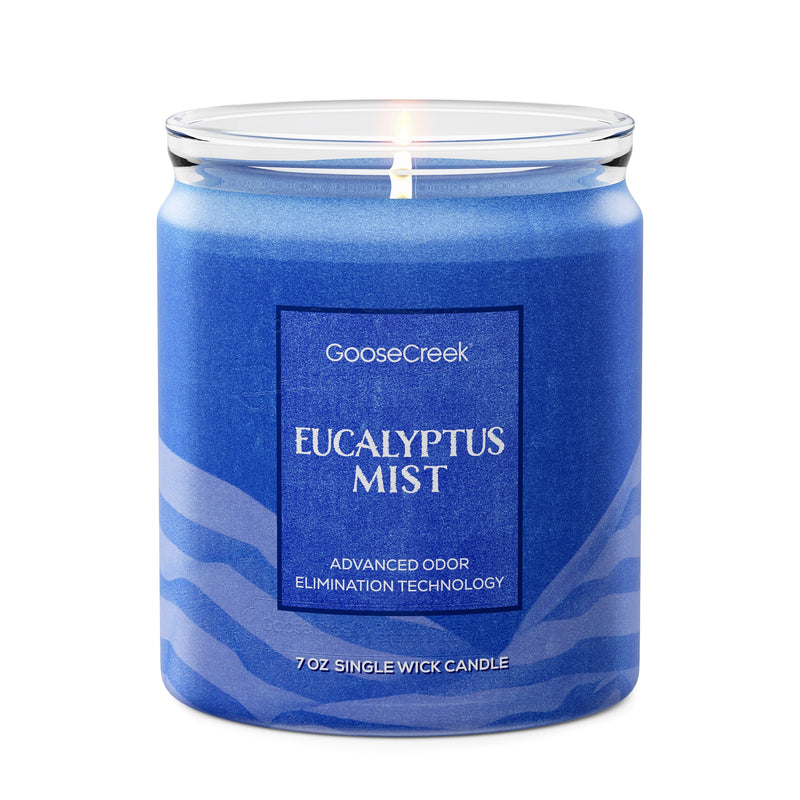 Eucalyptus Mist Odor Eliminating 7oz Single Wick Candle (S5WD2)